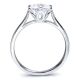 Detroit Cathedral Solitaire Engagement Ring